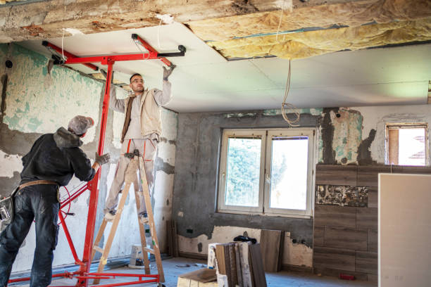 Best Insulation Removal Services  in Due West, SC
