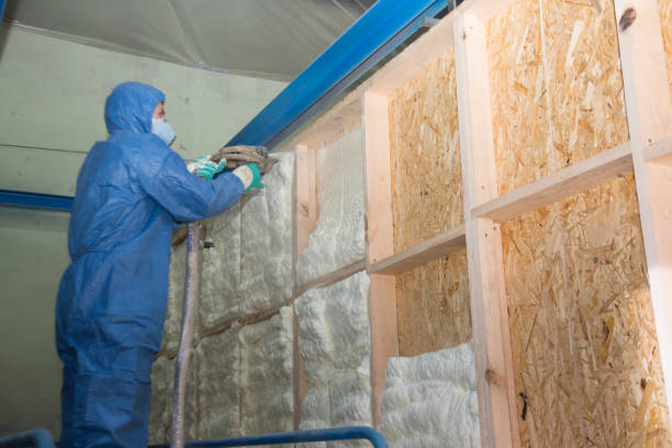 Best Professional Insulation Contractor  in Due West, SC